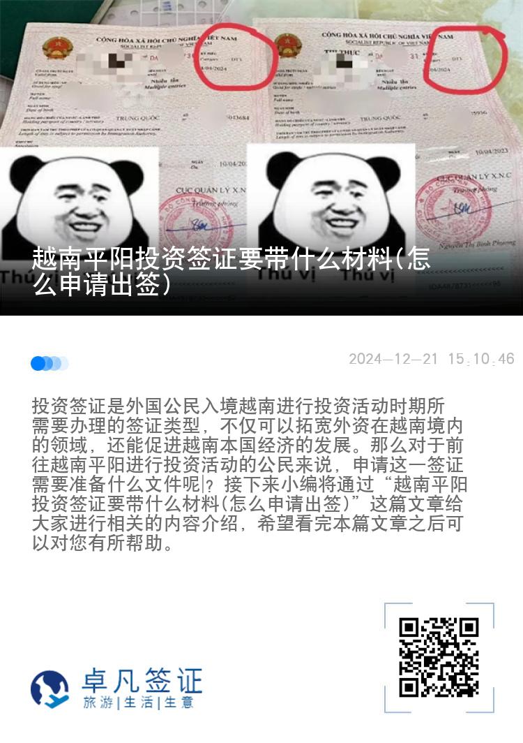 越南平阳投资签证要带什么材料(怎么申请出签)